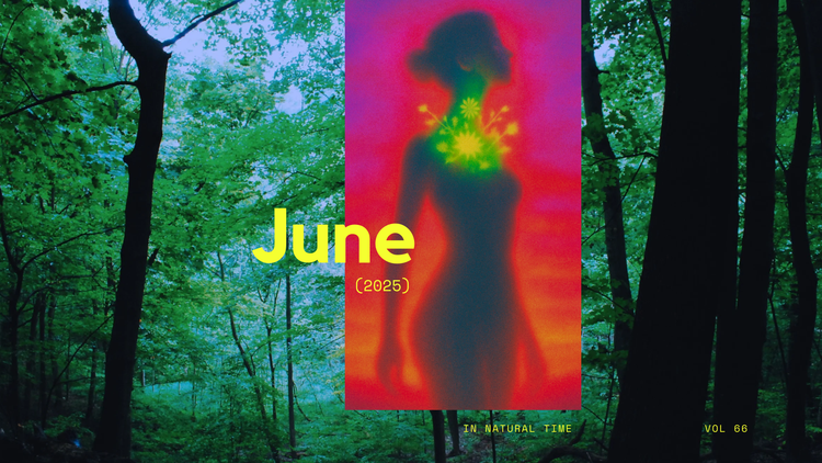 June 25’ Report Is IN