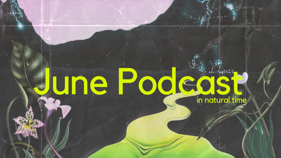 Natural Report Podcast Is Up!