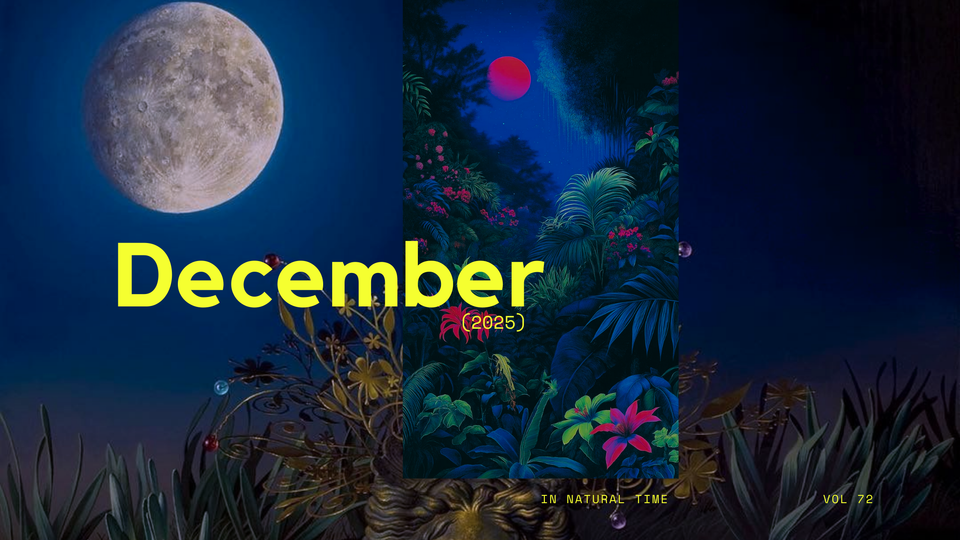 Dec 25' Natural Report Is IN!